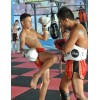 3 недели занятий Muay Thai | Yodyut Muaythai - Самуи, Таиланд