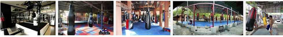 how to choose best thai boxing camp